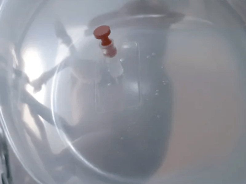 Crean placenta artificial para salvar bebés prematuros