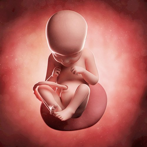 Semana 29 de embarazo: ¡Sus pataditas no paran!