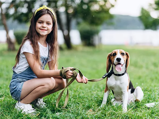 Cuáles son las responsabilidades de tener una mascota para los niños