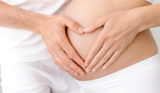 microbiota embarazo