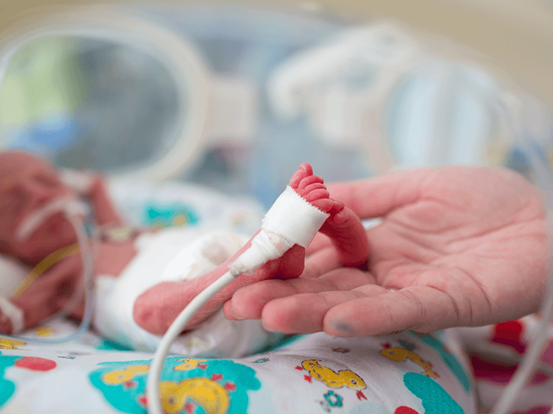Placenta artificial y bebés prematuros