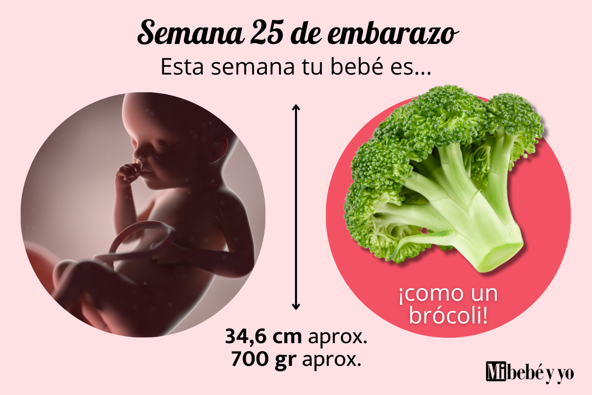 Semana 25 de embarazo: Qué sentirás y cómo cuidarte