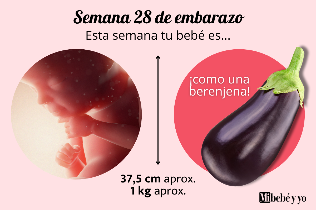 Semana 28 de embarazo