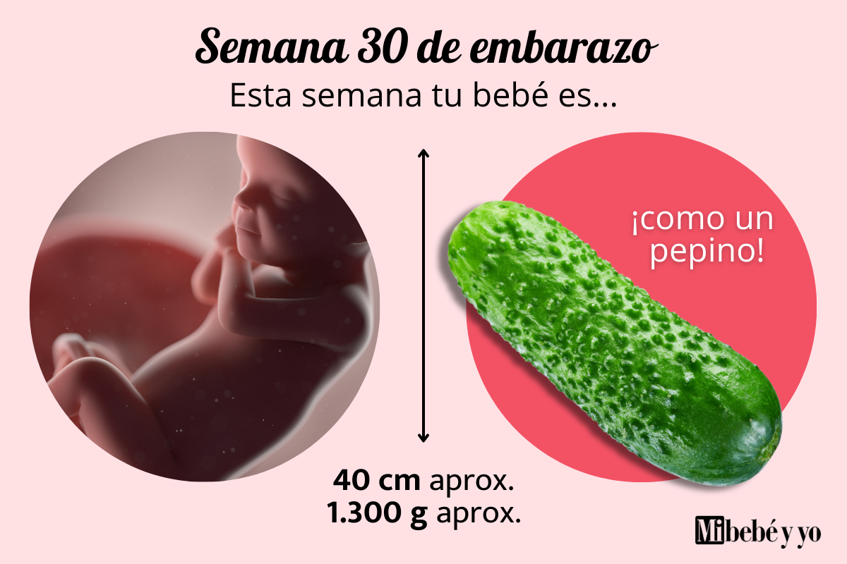 Semana 30 de embarazo: Desarrollo del bebé y cambios en tu cuerpo