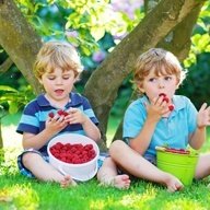 Alimentacion infantil en verano