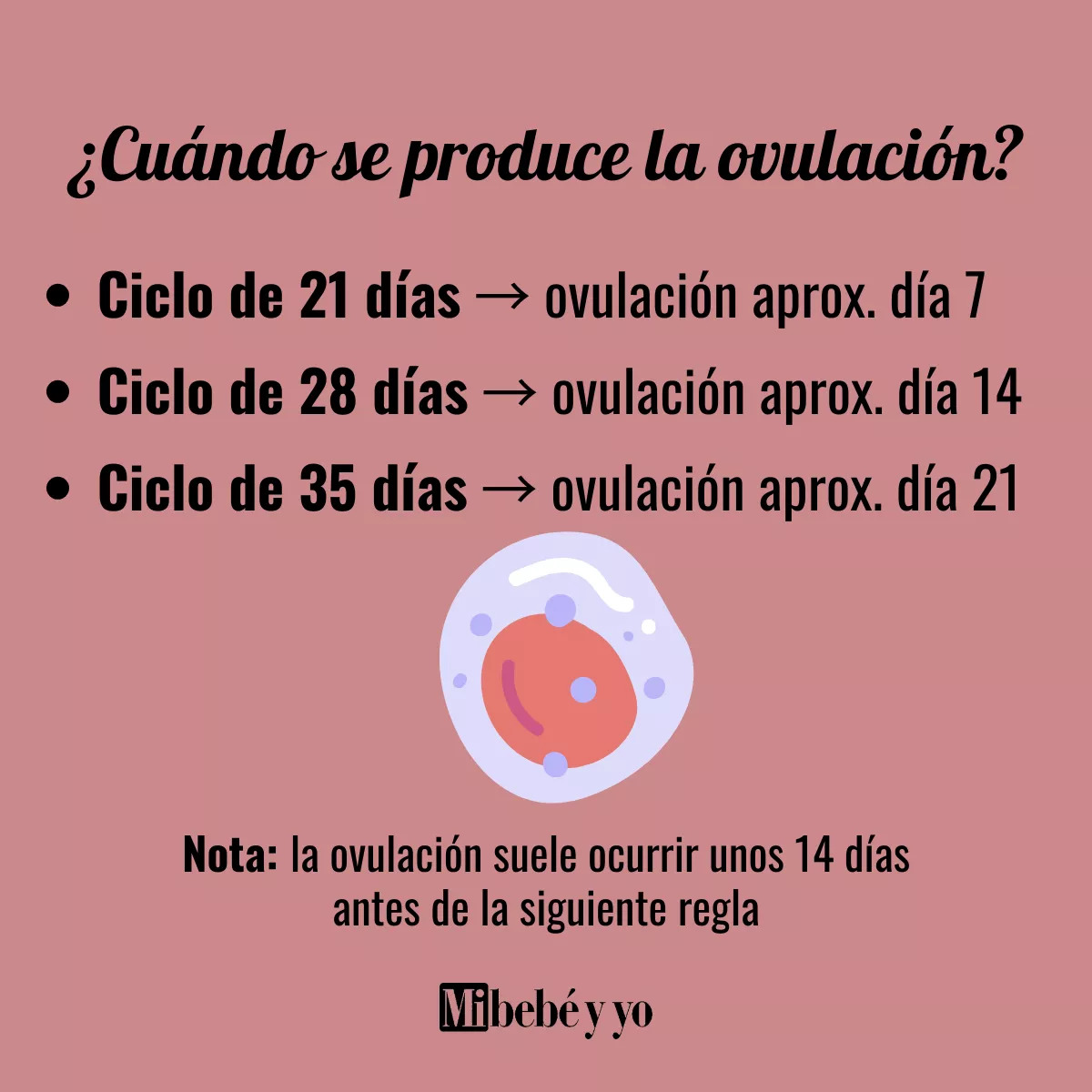 cuando-ovula-mujer-infografia
