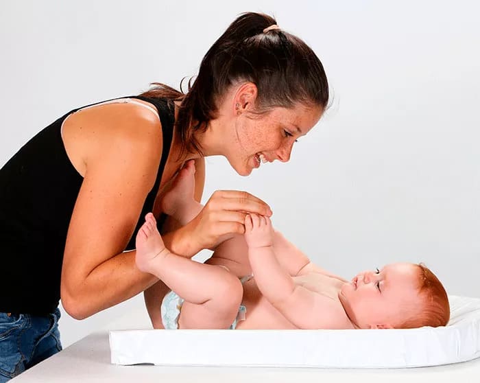 panal-preparacion