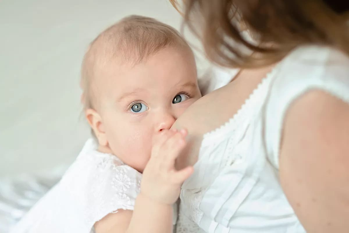 Destete: ¿qué hacer si ya no quiero dar el pecho? destete ya no quiero dar pecho