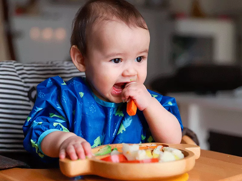 Baby-led weaning (BLW): alimentación complementaria autorregulada por el  bebé