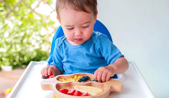 Baby-led weaning (BLW): alimentación complementaria autorregulada por el  bebé