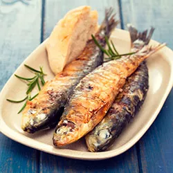 sardinas omega3