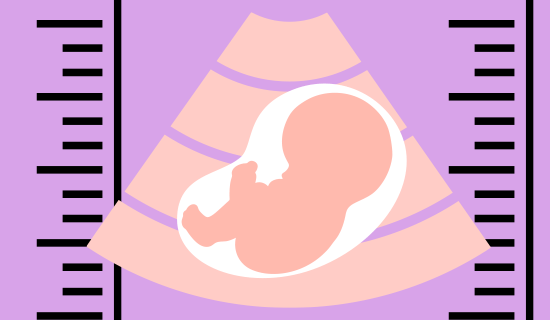 calculadora percentiles feto infografia