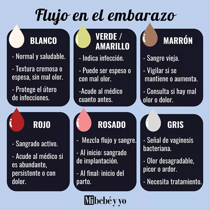 flujo-embarazo-infografia