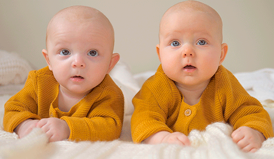 gemelos amarillos