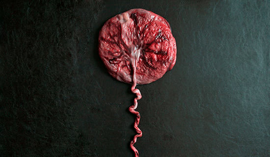 placenta real