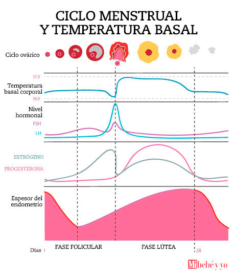 temperatura basal infografiaok