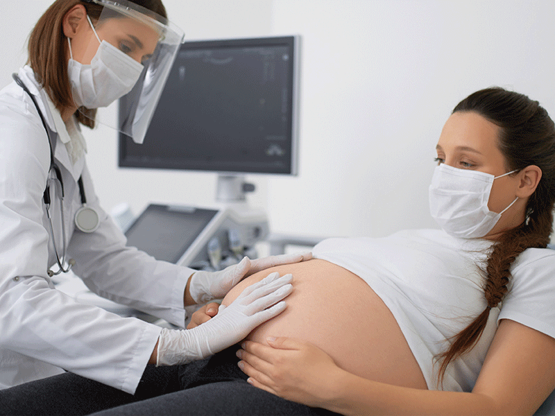 visitas embarazo ginecologo