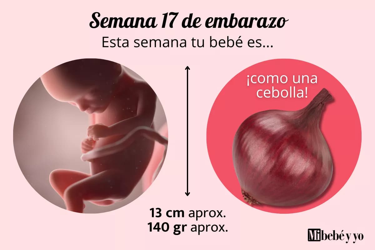 Semana 17 de embarazo