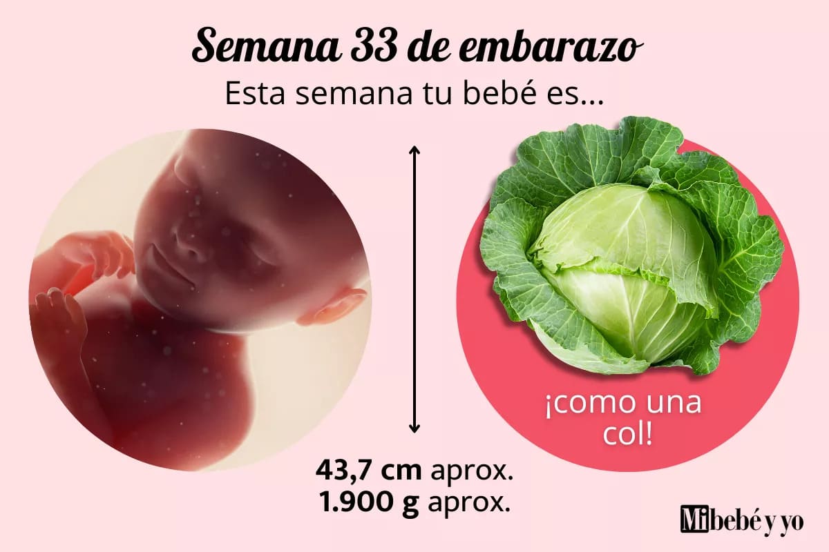 Semana 33 de embarazo