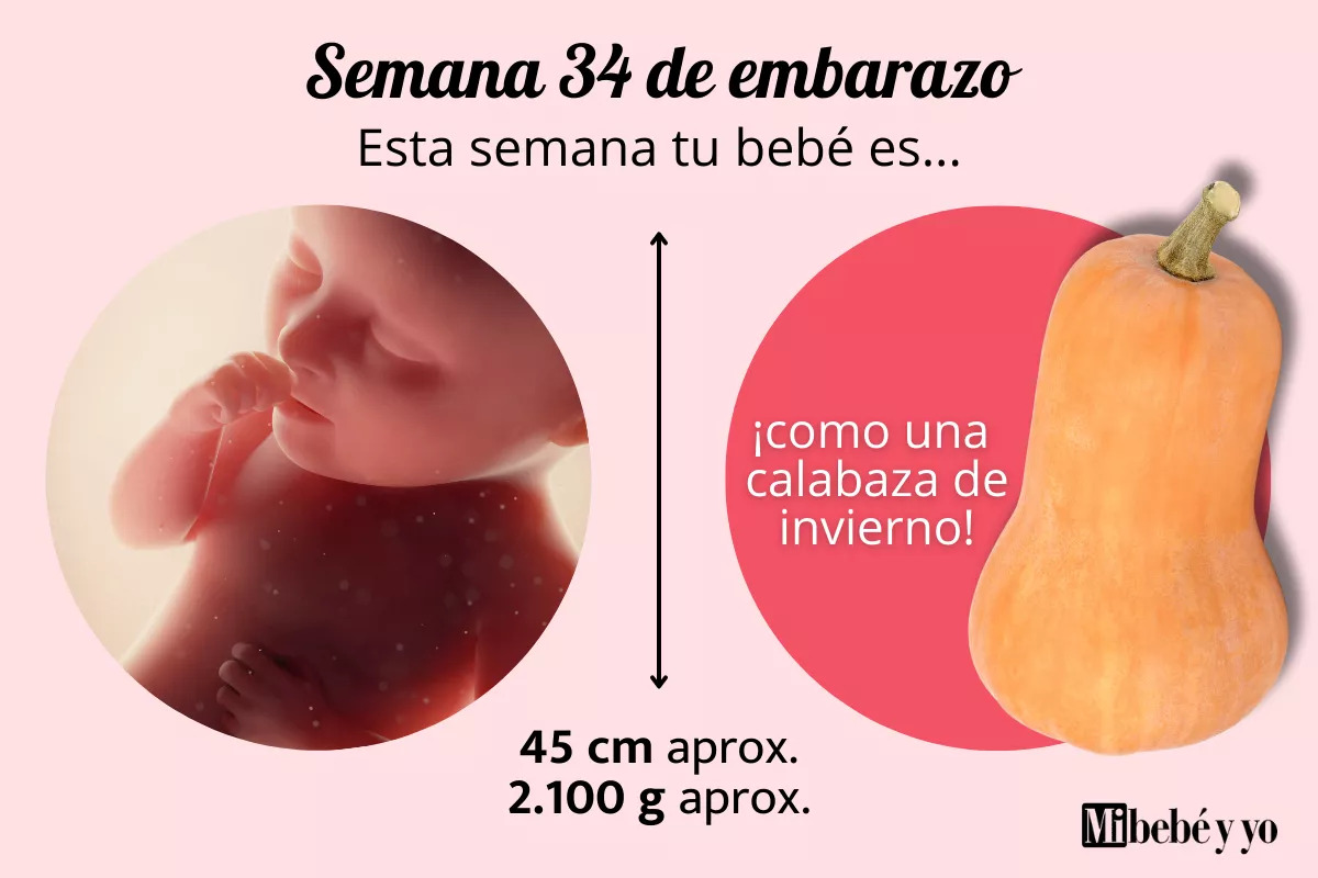 Semana 34 de embarazo