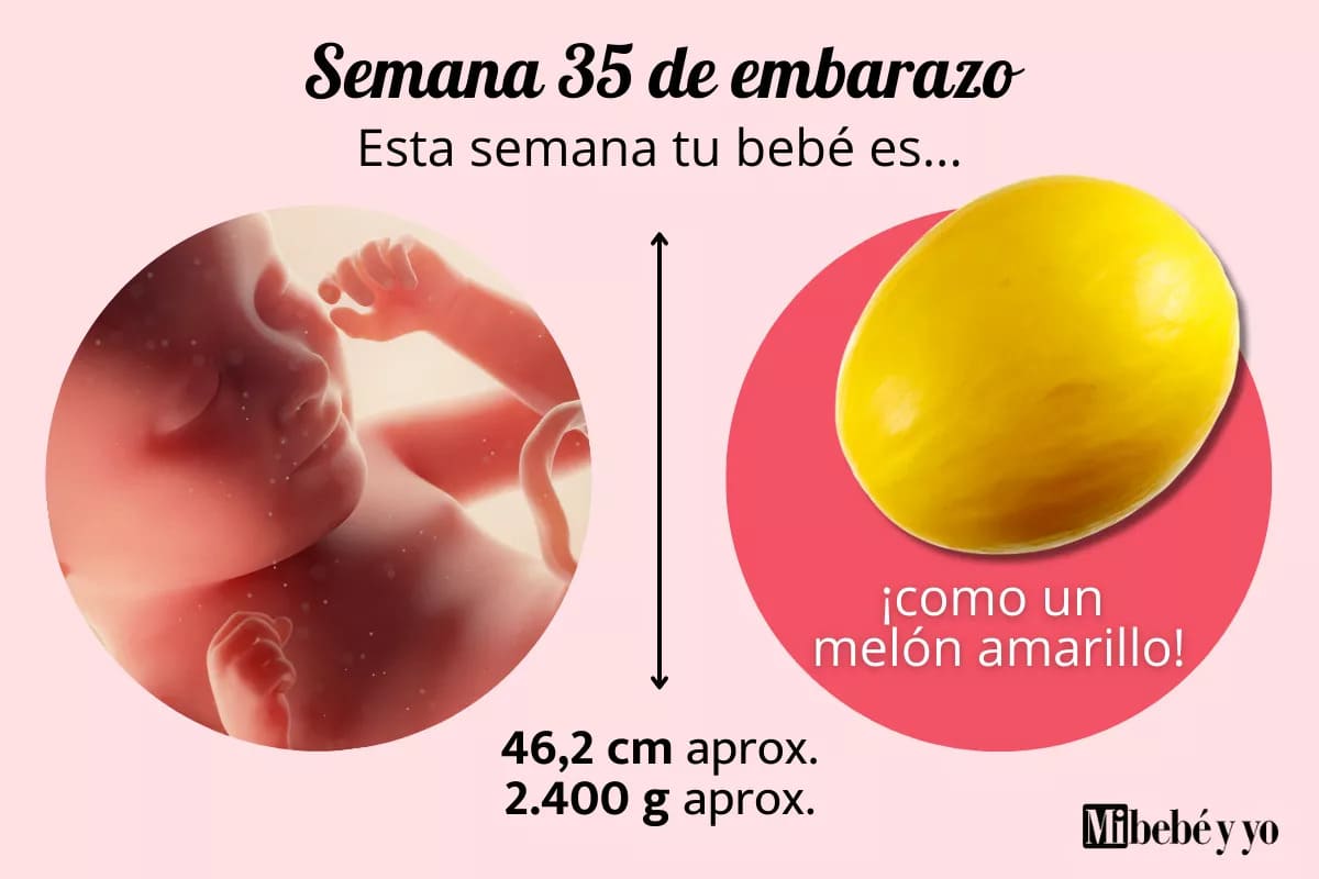 Semana 35 de embarazo