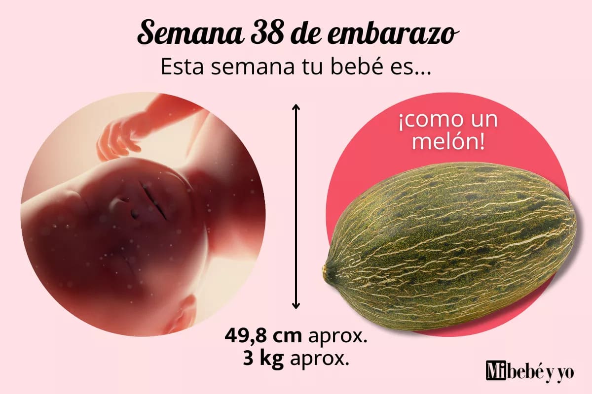 Semana 38 de embarazo