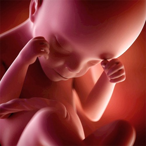 Semana 21 de embarazo: ¡Tu bebé ya se mueve!
