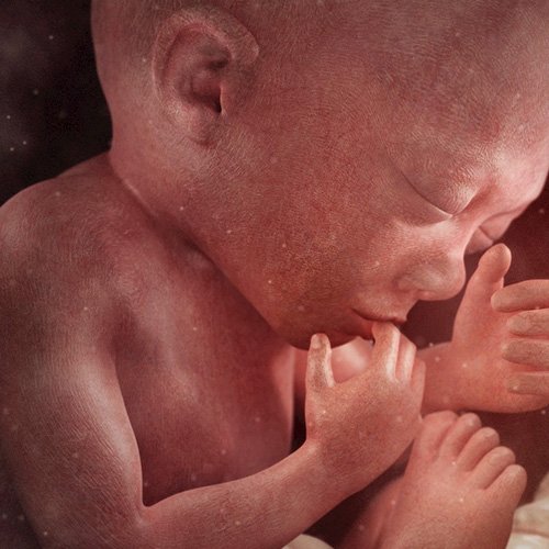 Semana 25 de embarazo: ¡Ya puede abrir sus ojos!