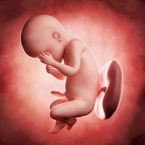 Semana 30 de embarazo: ¡Tu bebé no para de crecer!
