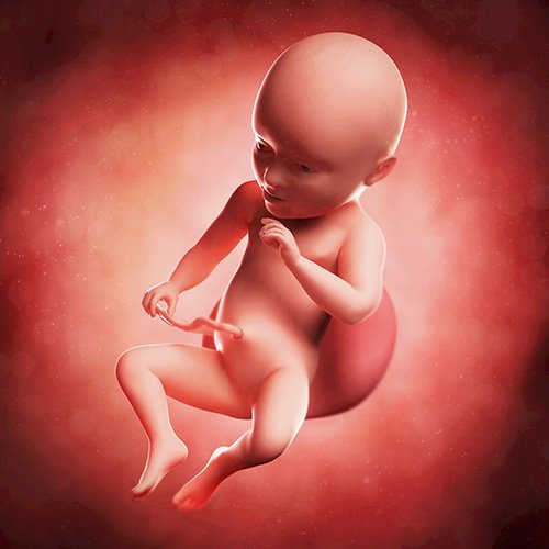 Semana 34 de embarazo: ¡adopta la posición para nacer!