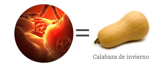 Semana 34 de embarazo