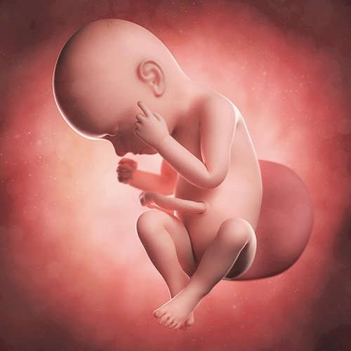 Semana 37 de embarazo: ¡Ya falta poco para que nazca!