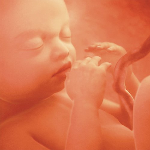 Semana 38 de embarazo: ¡Ya podría nacer!