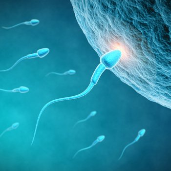 Más bebés varones por el aumento de técnicas de reproducción asistida