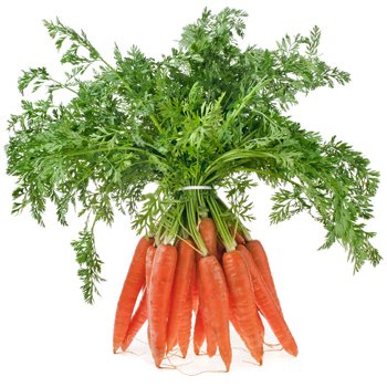 La zanahoria y sus propiedades