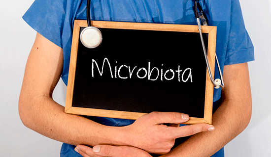 microbiota pizarra
