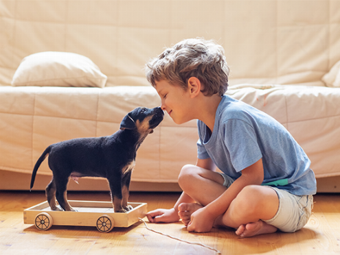 edad para tener mascota