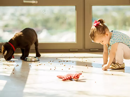 ¿cuáles Son Las Responsabilidades De Tener Una Mascota Para Los Niños