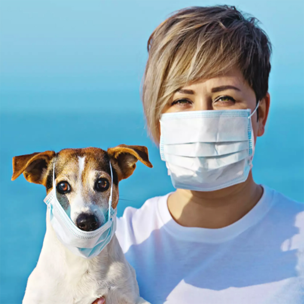 OMS: Las mascotas no son fuente de contagio de Coronavirus COVID-2019