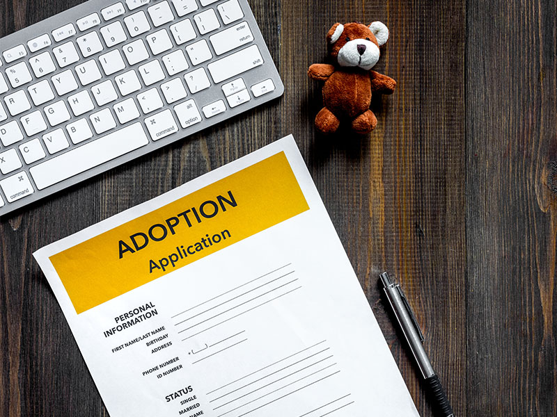 Adopción: ¿cómo empezar el proceso? 