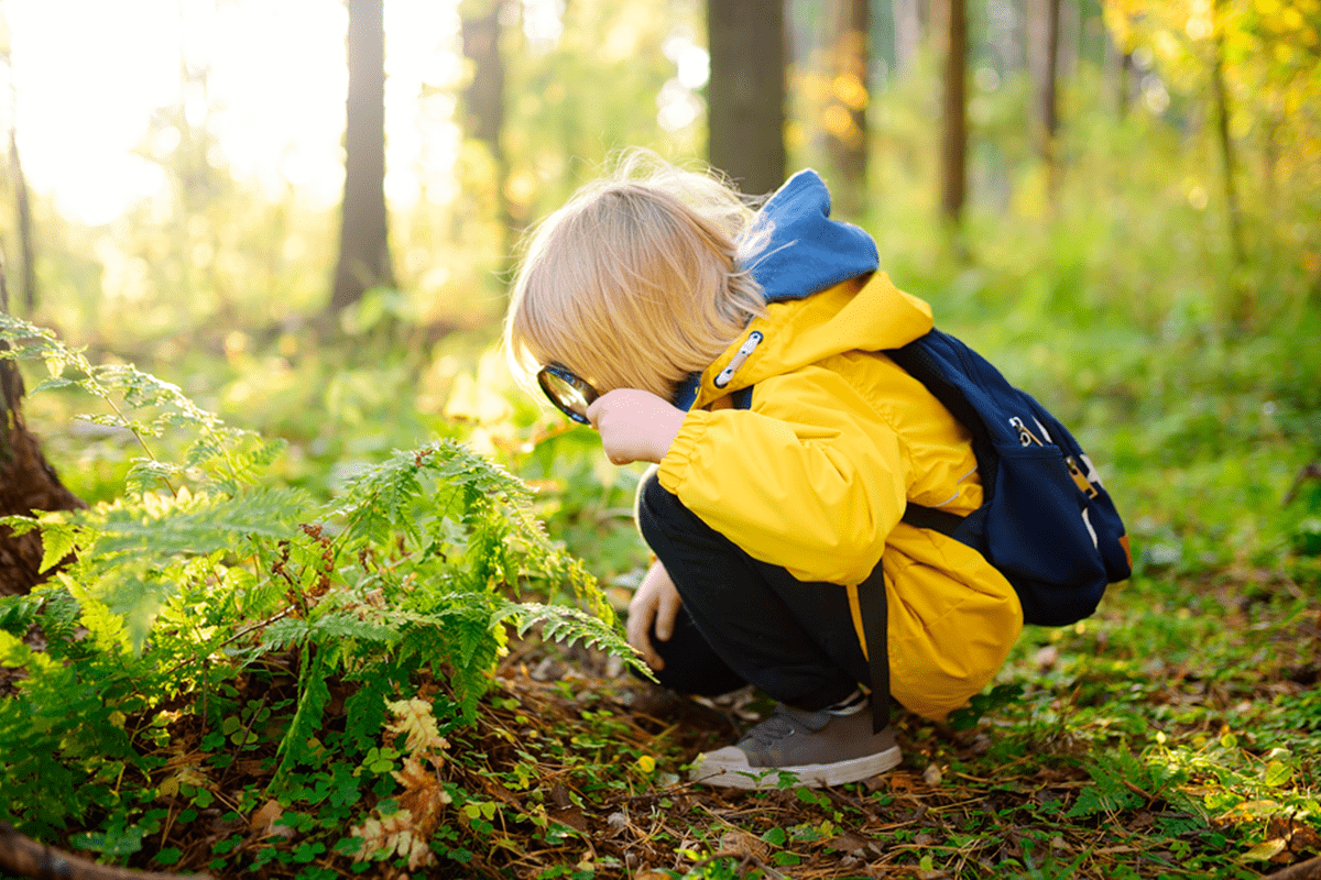 beneficios juego aire libre para ninos