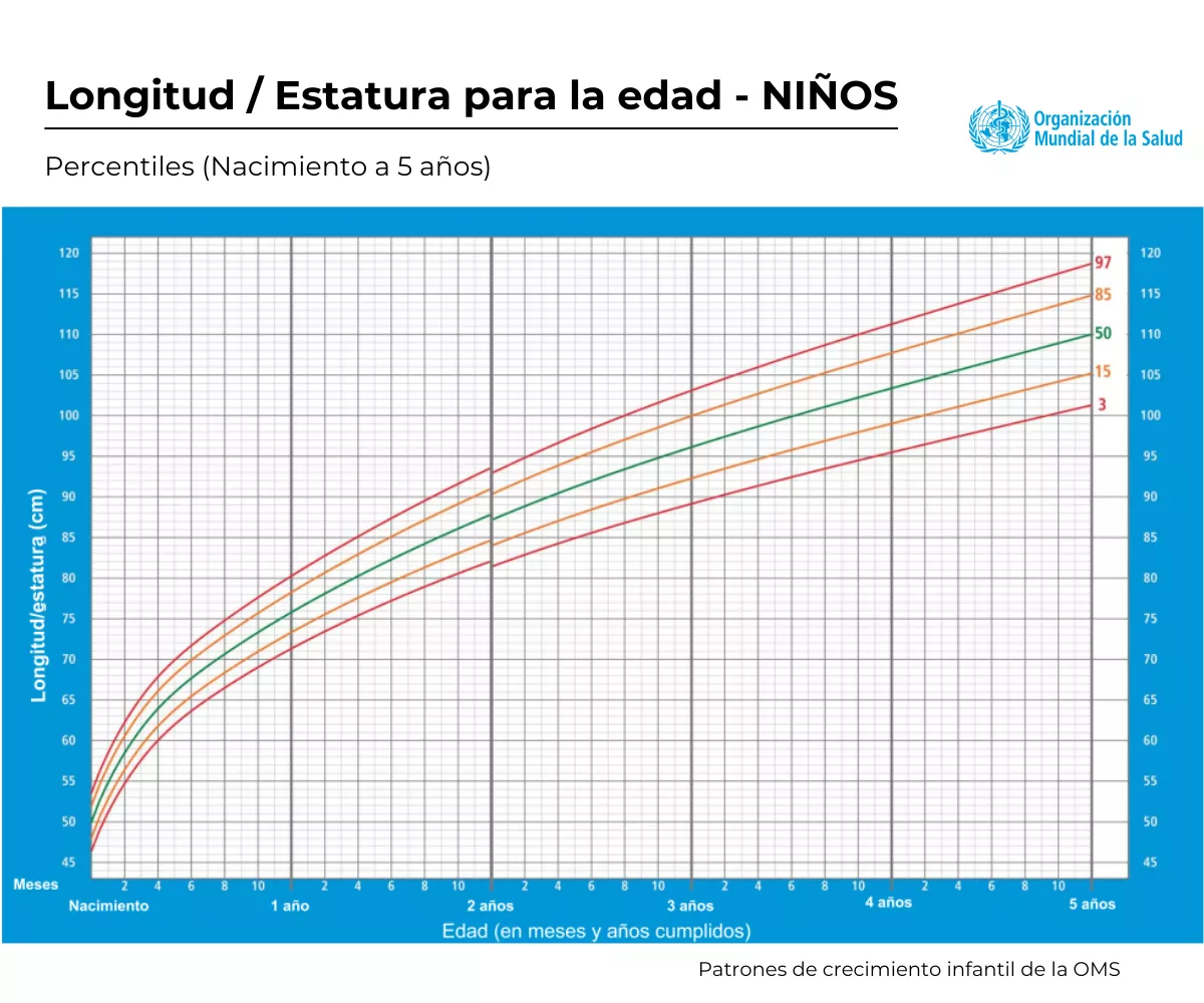 Percentil_longitud_nino_OMS