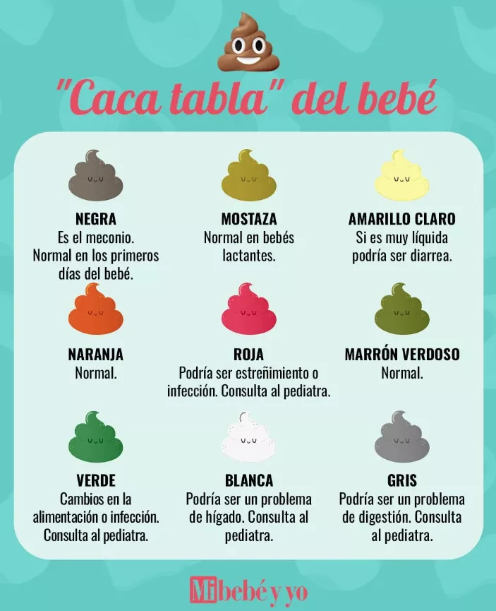 como-son-sus-popos-6778-tabla-popos