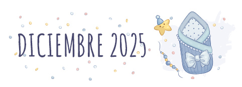 DICIEMBRE_2025