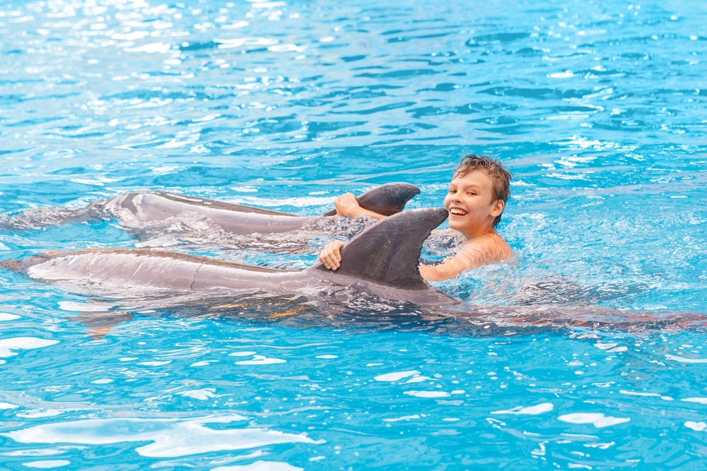 5-mejores-planes-con-ninos-en-cancun-nado-delfines