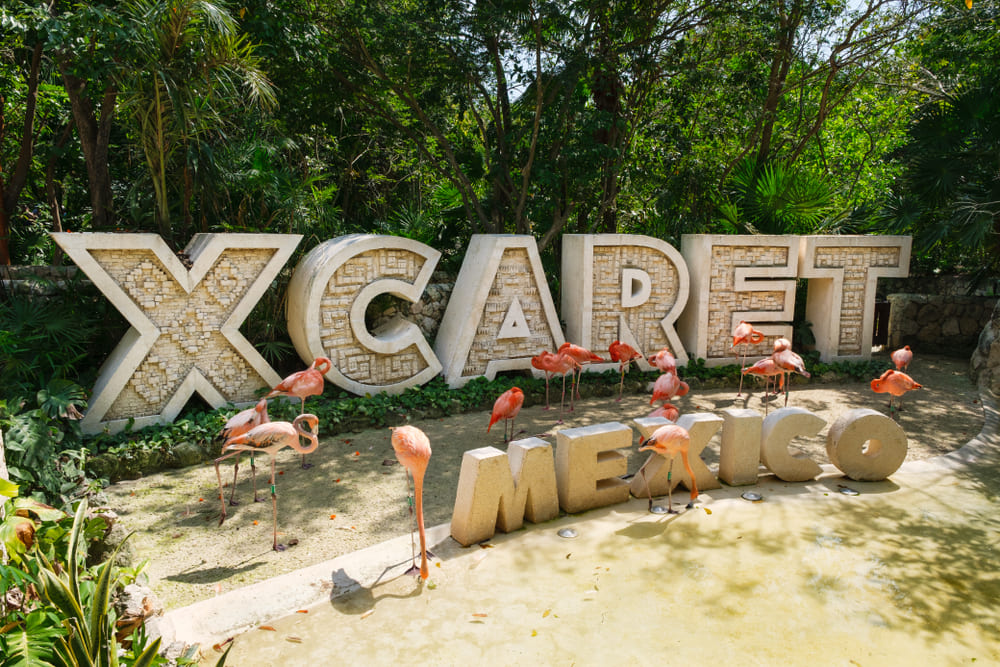 5-mejores-planes-con-ninos-en-cancun-xcaret