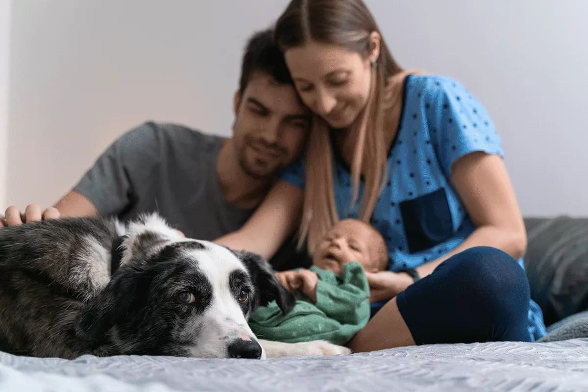Curioso: por qué algunos bebés no se asustan con el ladrido del perro de casa al nacer ladrido perro recien nacido