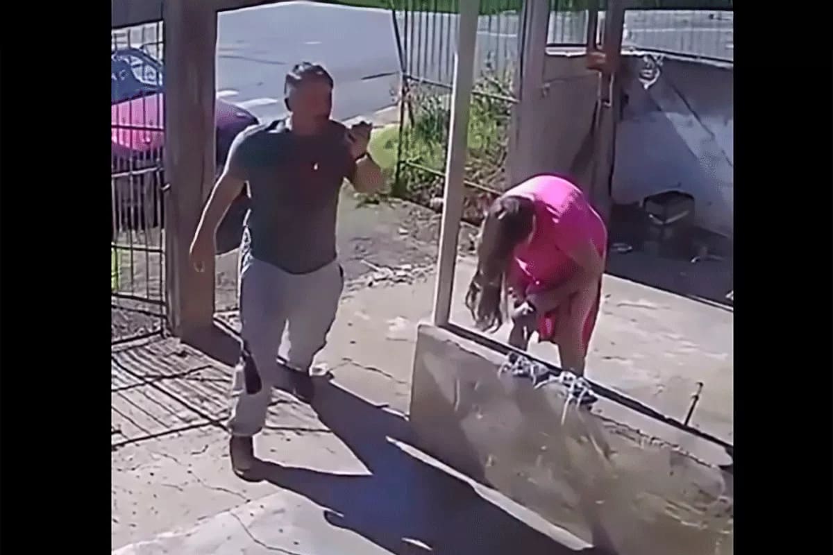 Pensó que faltaban dos semanas y dio a luz en el patio de su casa: el video impacta por lo rápido que sucede parto rapido cochera