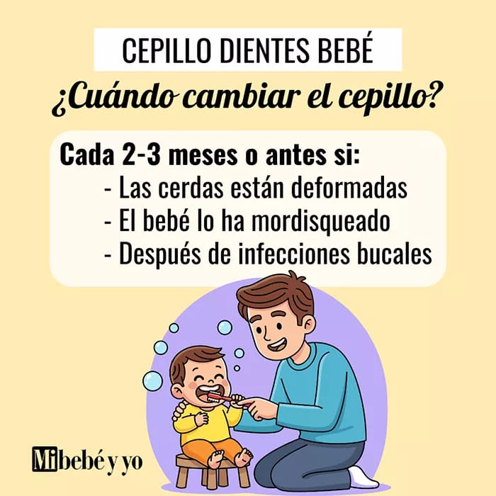 cepillo-dientes-bebe-recambio-infografia