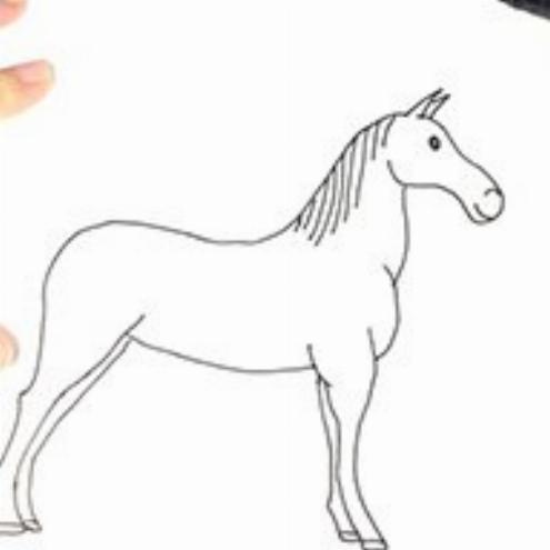Cómo dibujar un caballo